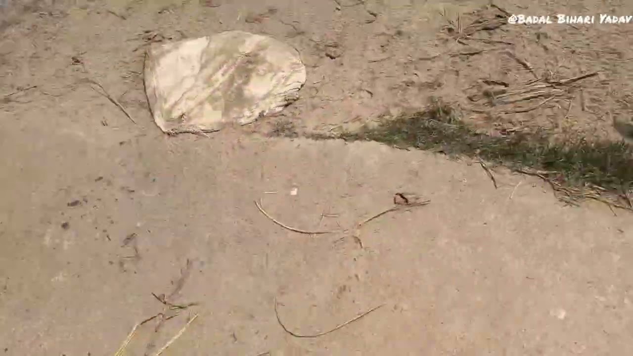 एक काम ढंग से नहीं होता है यह लोग से