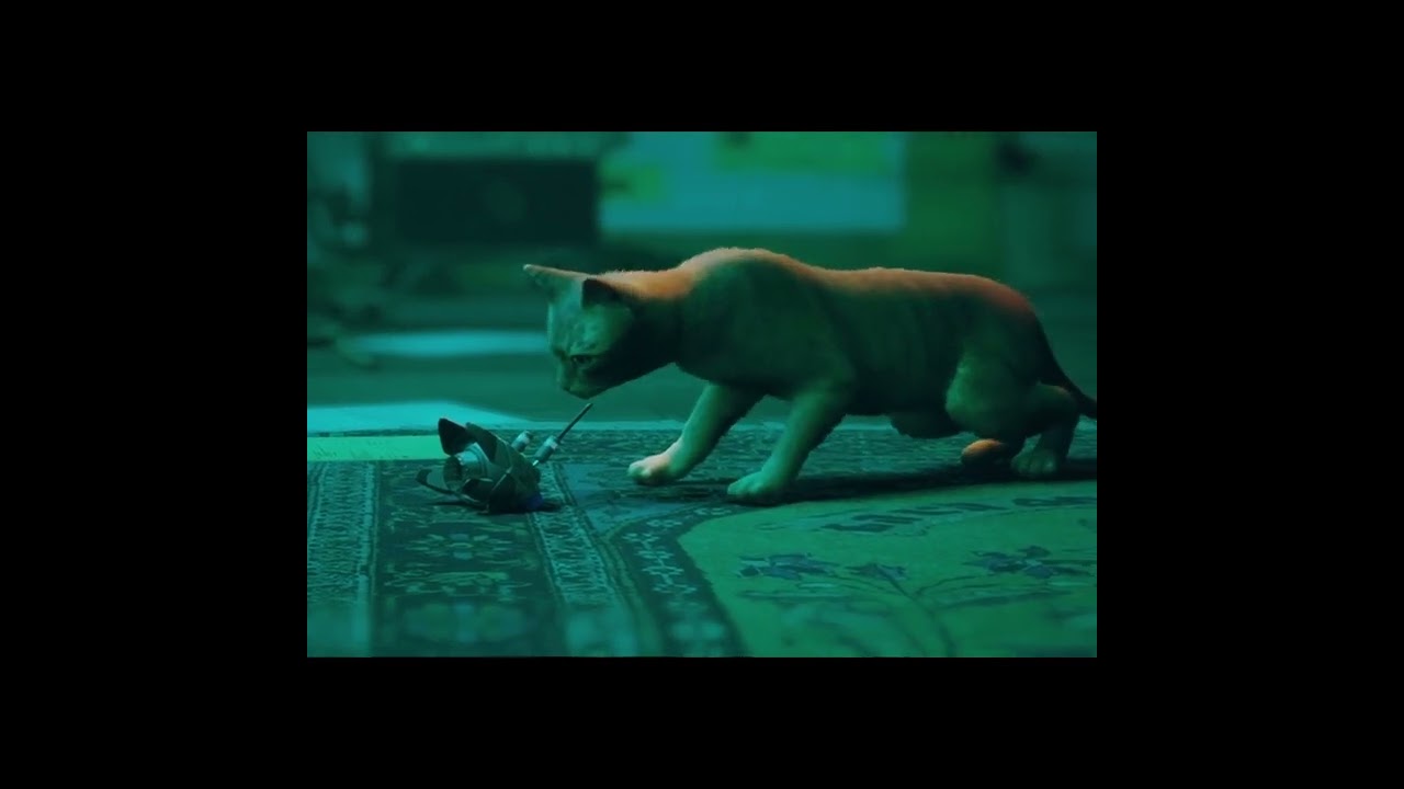 Cat playing with cute #b12 robot #adventure #bluetwelvestudio #gameplay #stray #straycat #games
