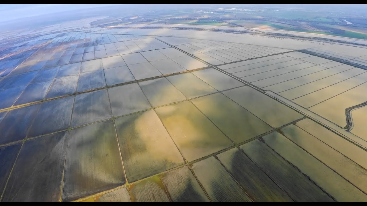 Birds Eye View of the Sacramento Valley Floodplains