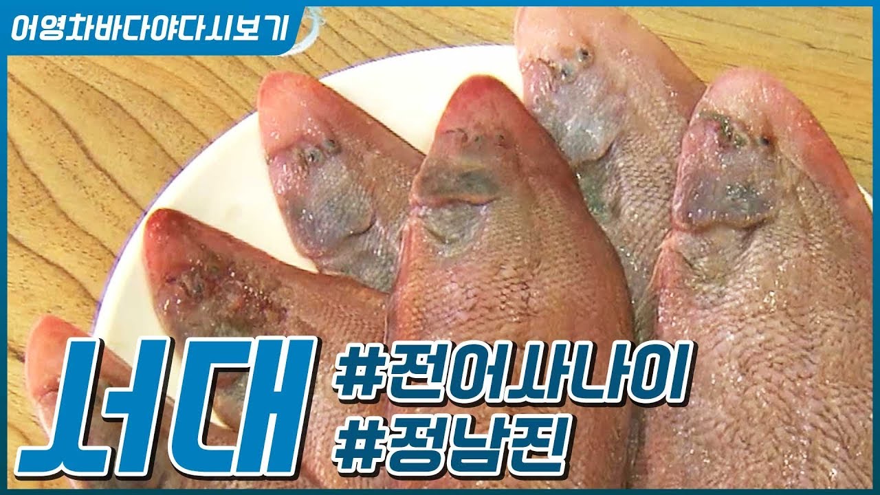 못생겨도 맛은 최고! 영광 서대 ◆강진 전어사나이 ◆정남진 장흥  [어영차바다야 다시보기]