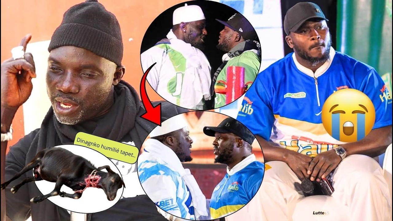 H&eacute;! Papis g&eacute;n&eacute;ral alouna 