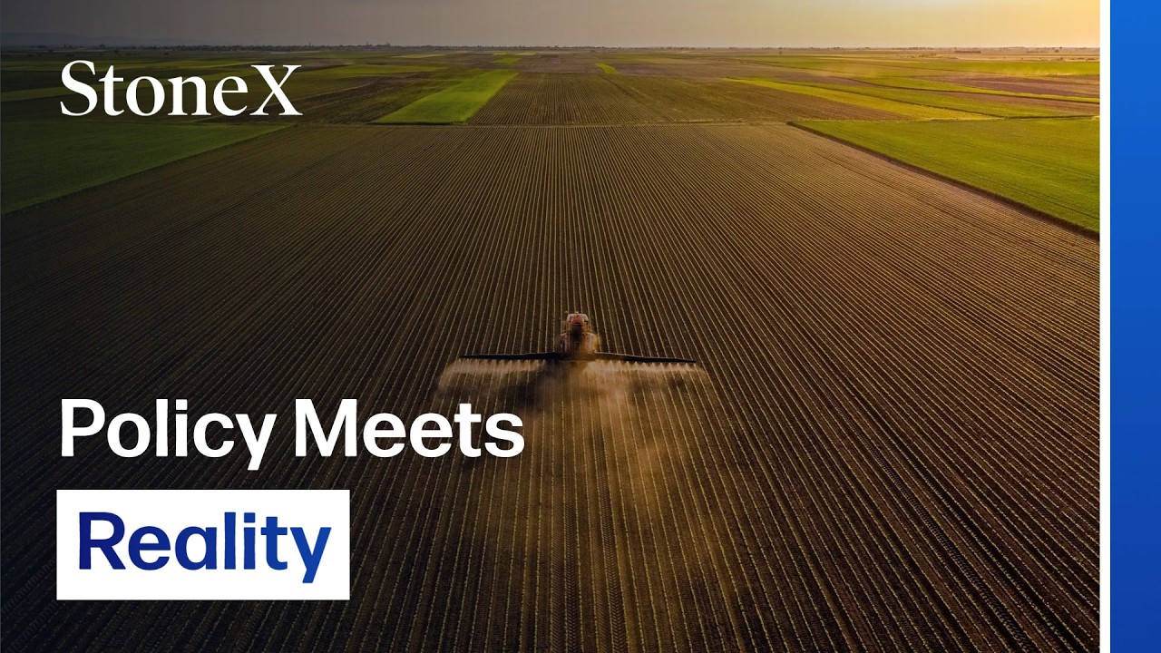 China Commodity Markets Enter 2026 Caught Between Policy and Reality