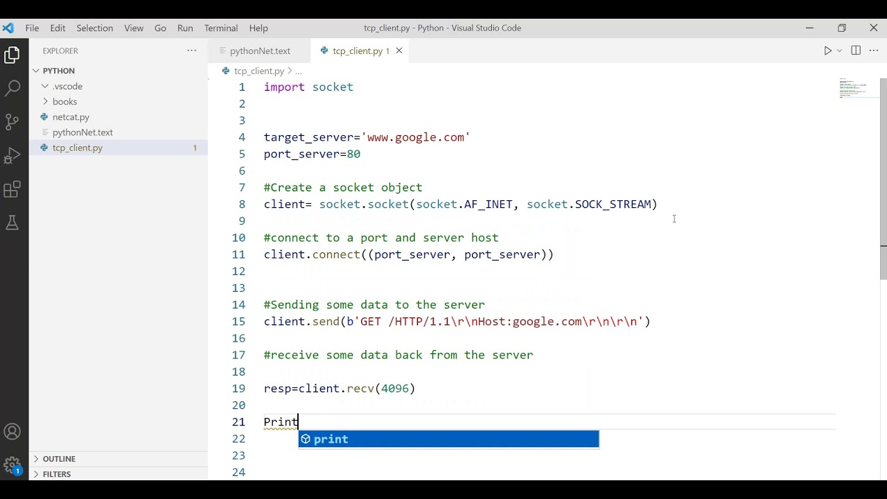 How to create a Simple and very powerful TCP client in python