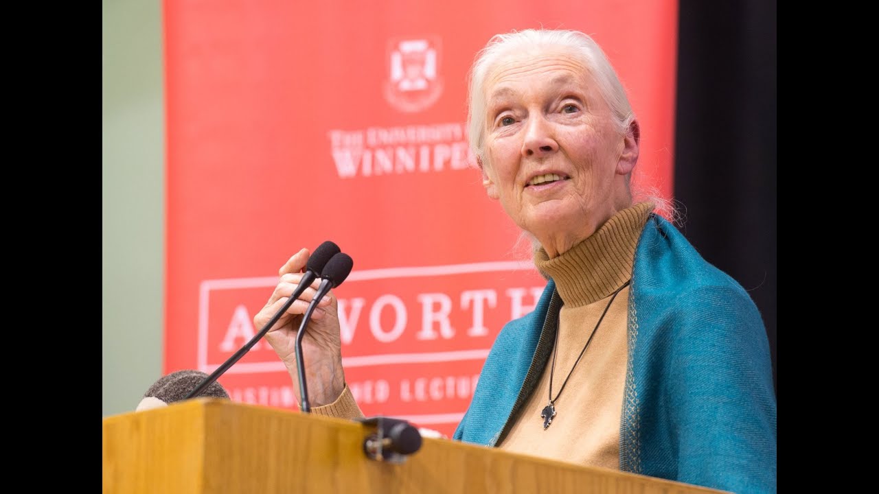 Axworthy Lecture, Jane Goodall, Sept  11, 2015