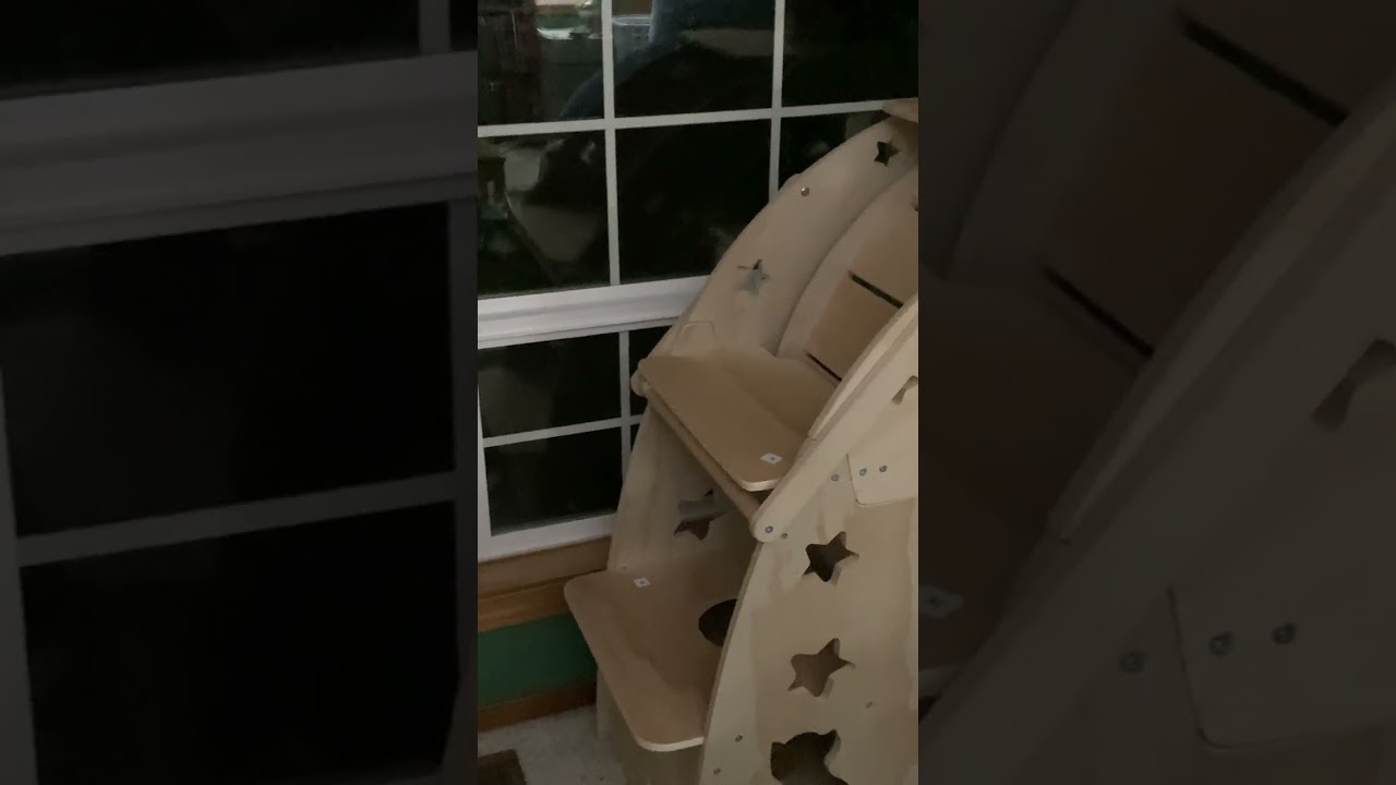 Kitten is jealous of mountain lion ￼