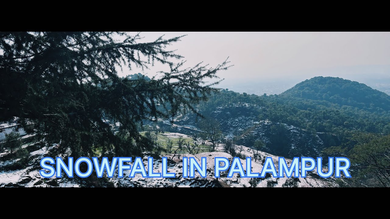 Snowfall in Palampur After So Many Years 🌨️|| Sanmol Vlogs