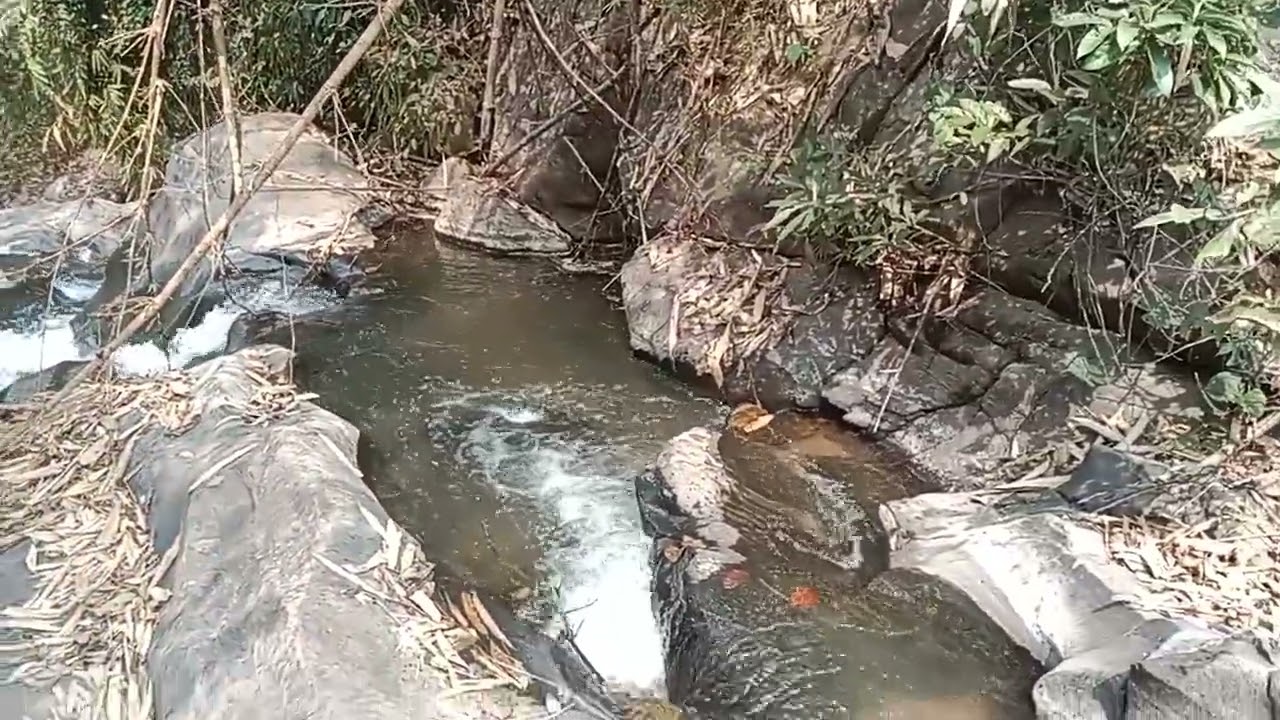 Chengreng dareni video