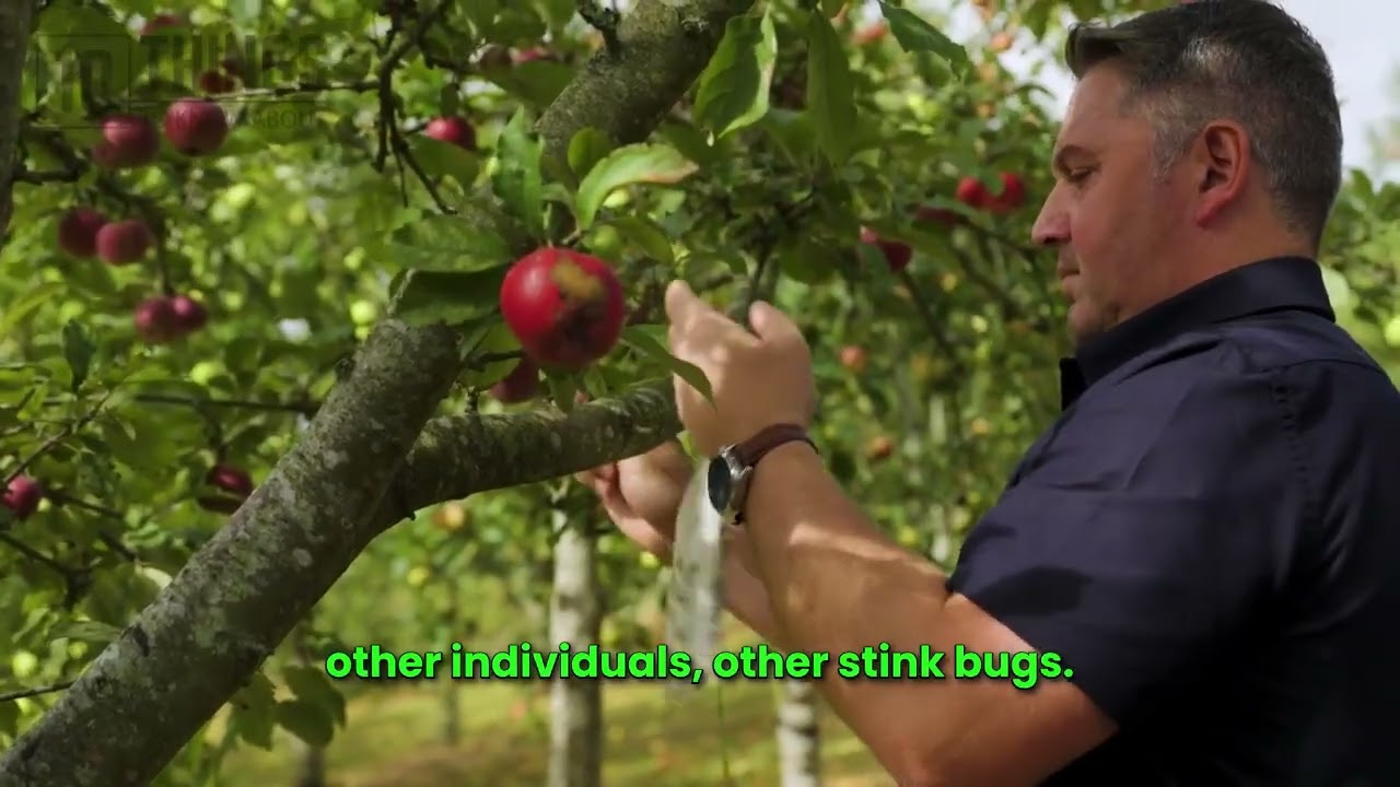 Michael Gaffney on RTE's 10 Things to Know About....Invasive Species