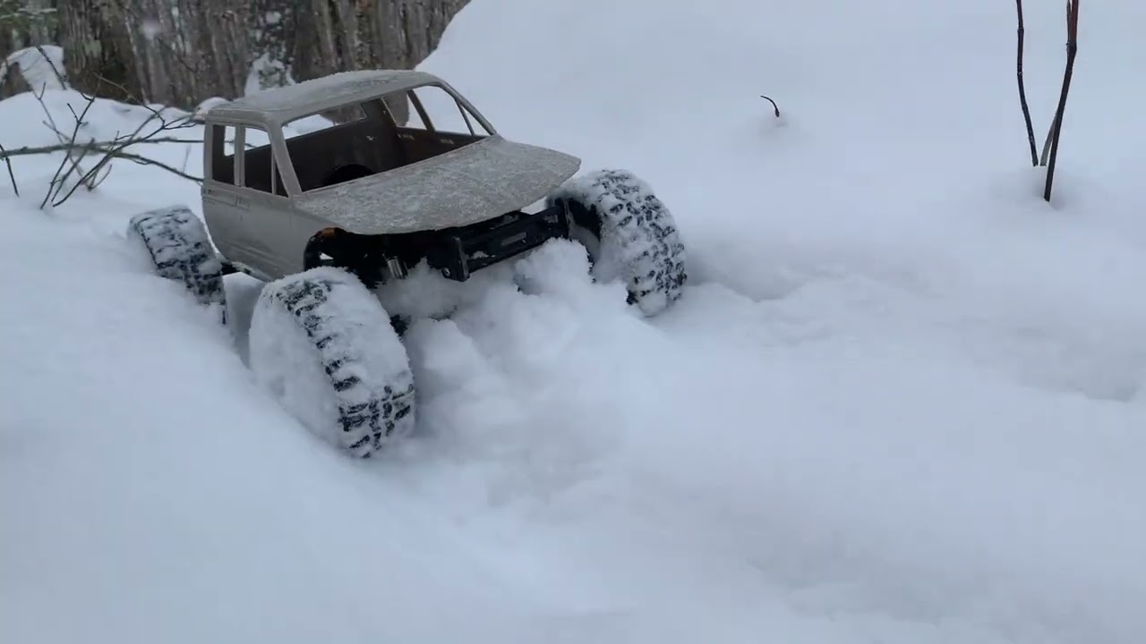 Wet Snow Tough Run….Dog Barking at Either Coyote or Fox Tracks Smells.