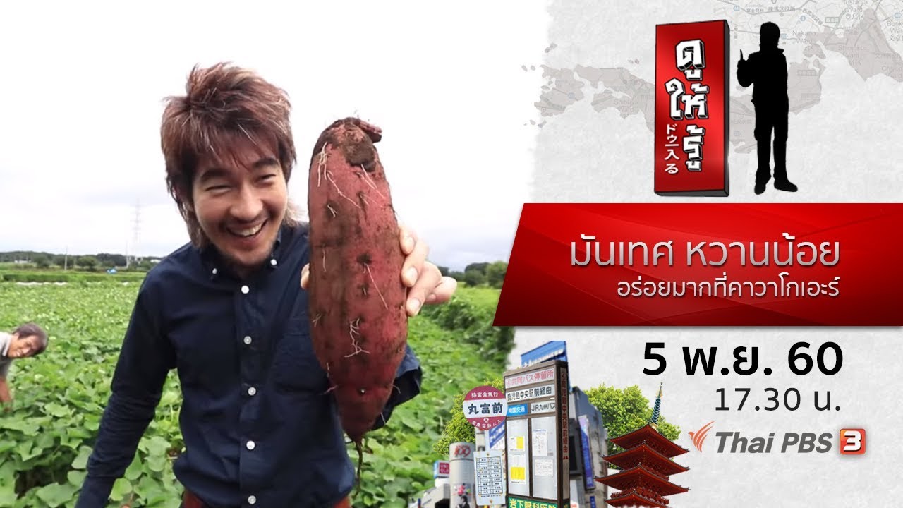 มันเทศ หวานน้อย อร่อยมากที่คาวาโกเอะ : ดูให้รู้ Dohiru (5 พ.ย. 60)