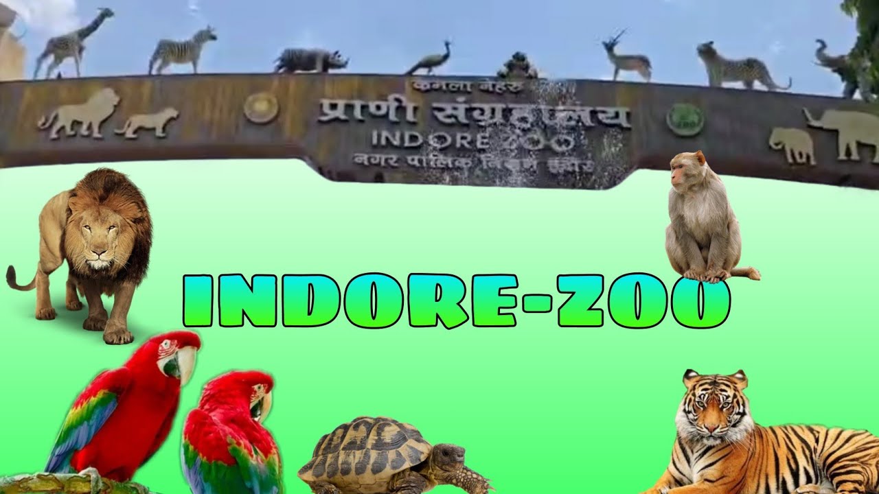 #Zoo