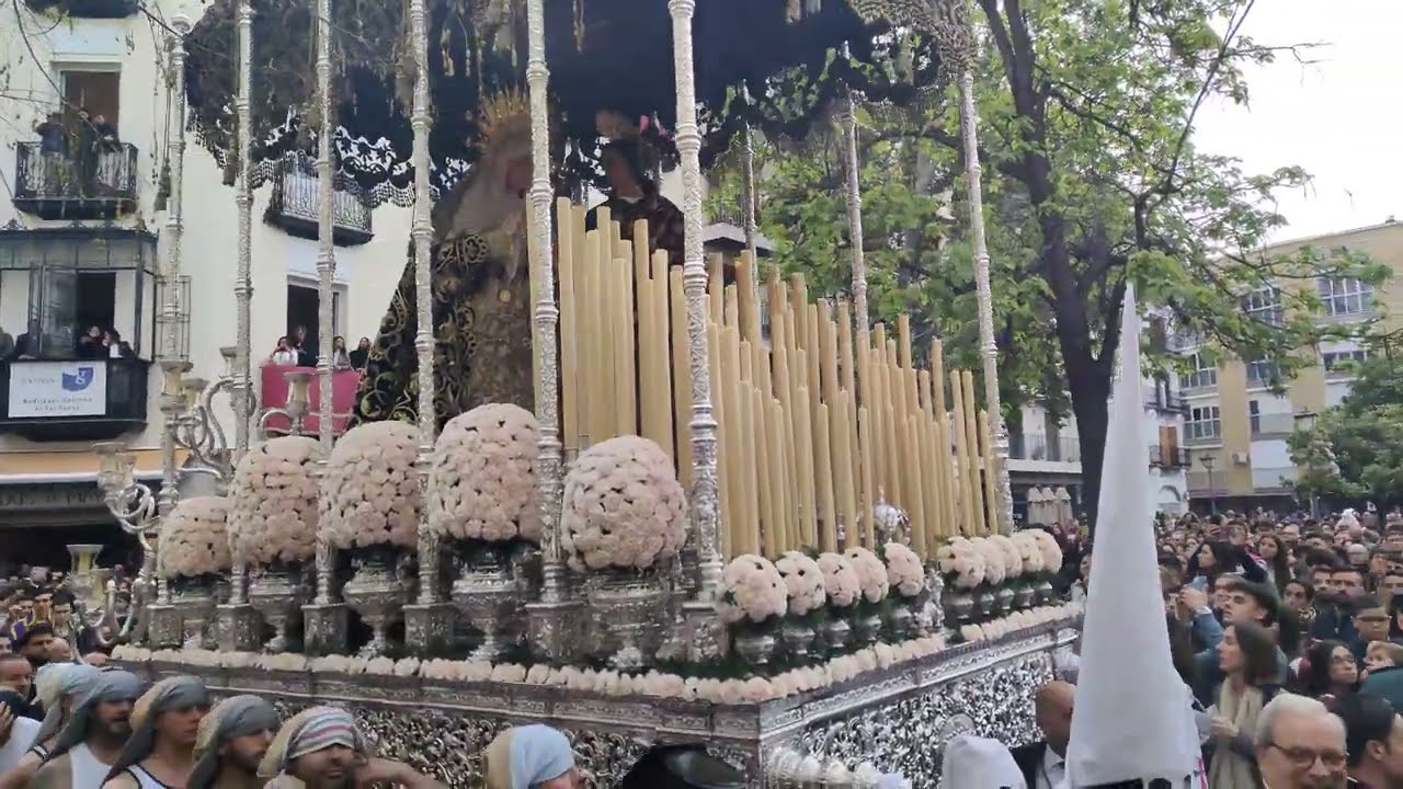 Dulce Nombre | Hermandad de la Bofetá | Martes Santo Sevilla 2024