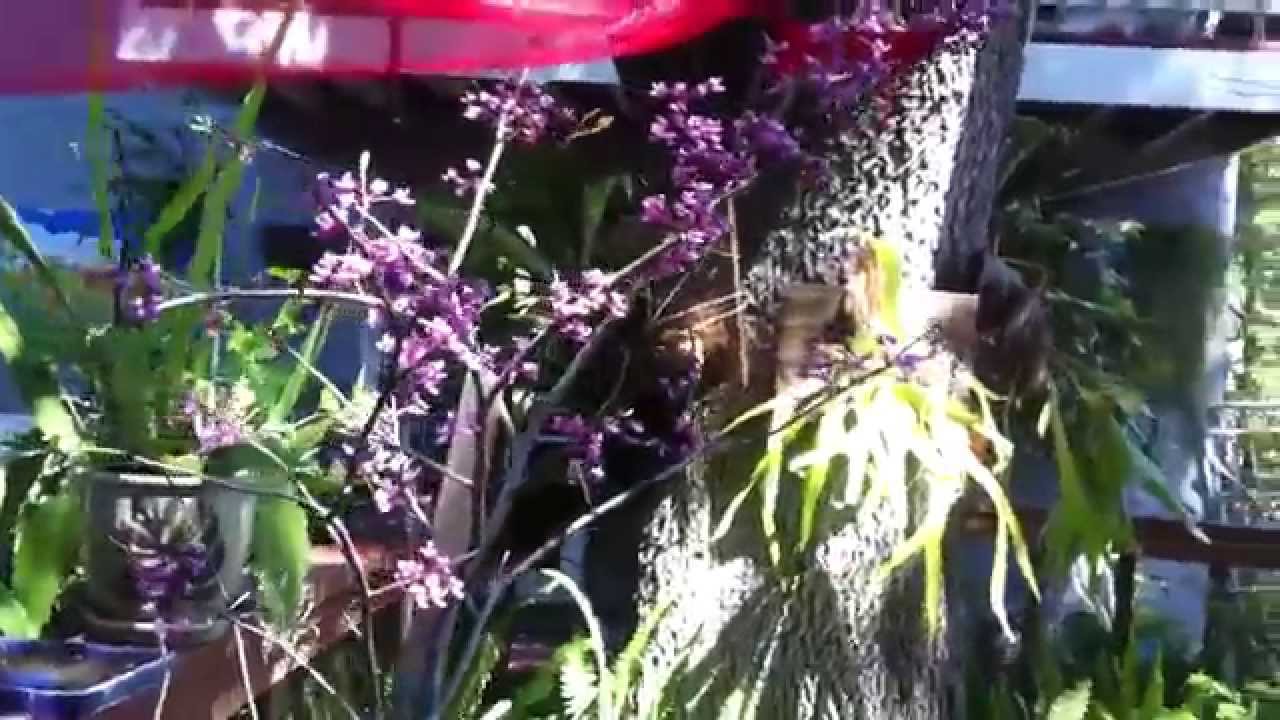 Making money growing and selling plants