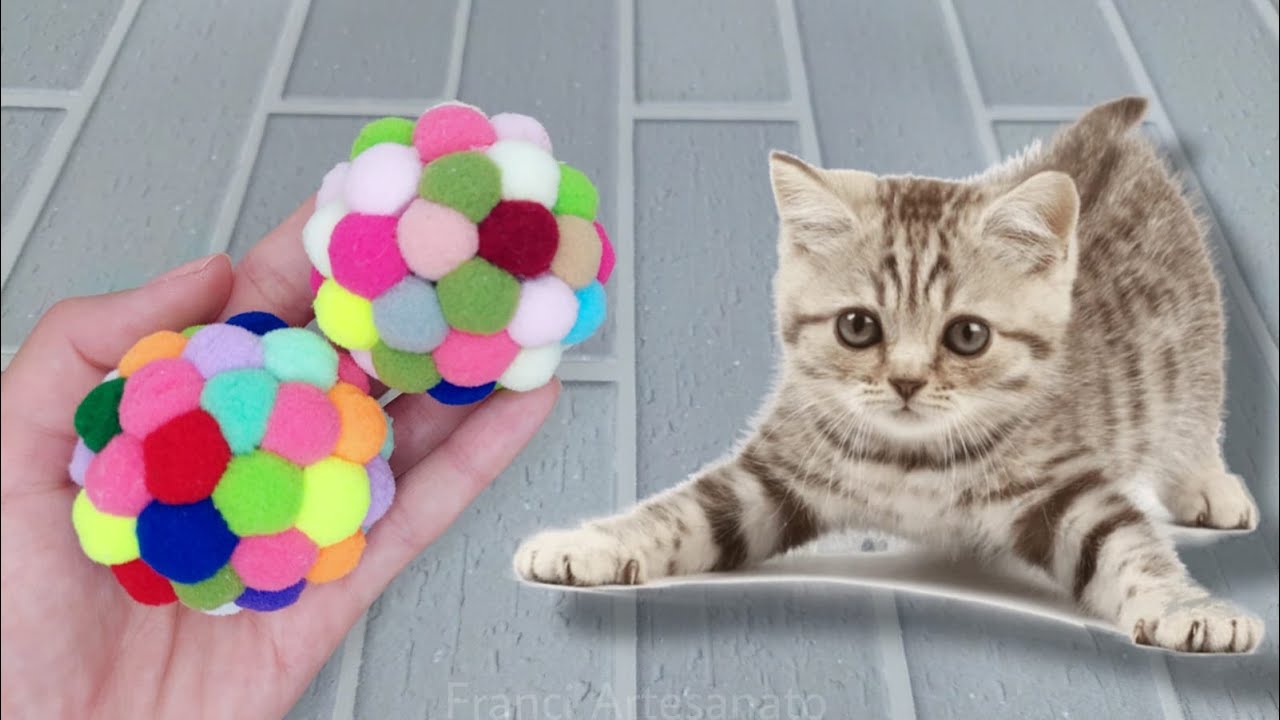 CAT BOLA DE PELÚCIA PARA GATOS | #DIY FAÇA VOCÊ MESMO | BRINQUEDO PRA PET 🐶😻 - FRANCI ARTESANATO