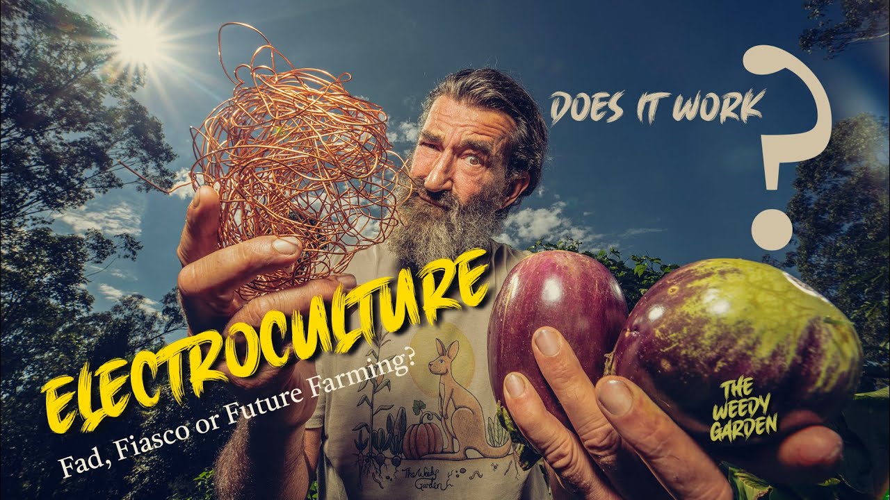 Electroculture - Does it Work?