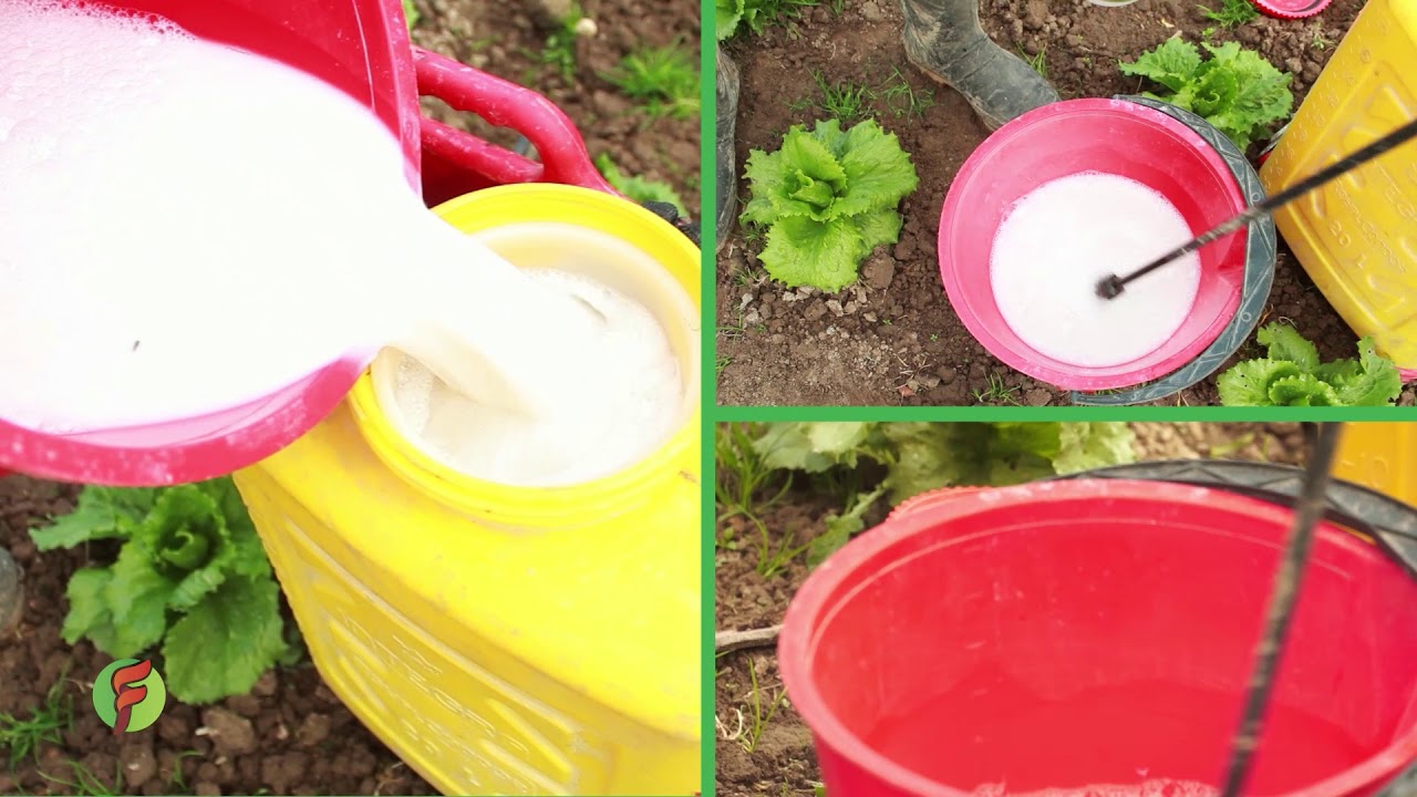 Cal liquida Programa TV Agro Completo