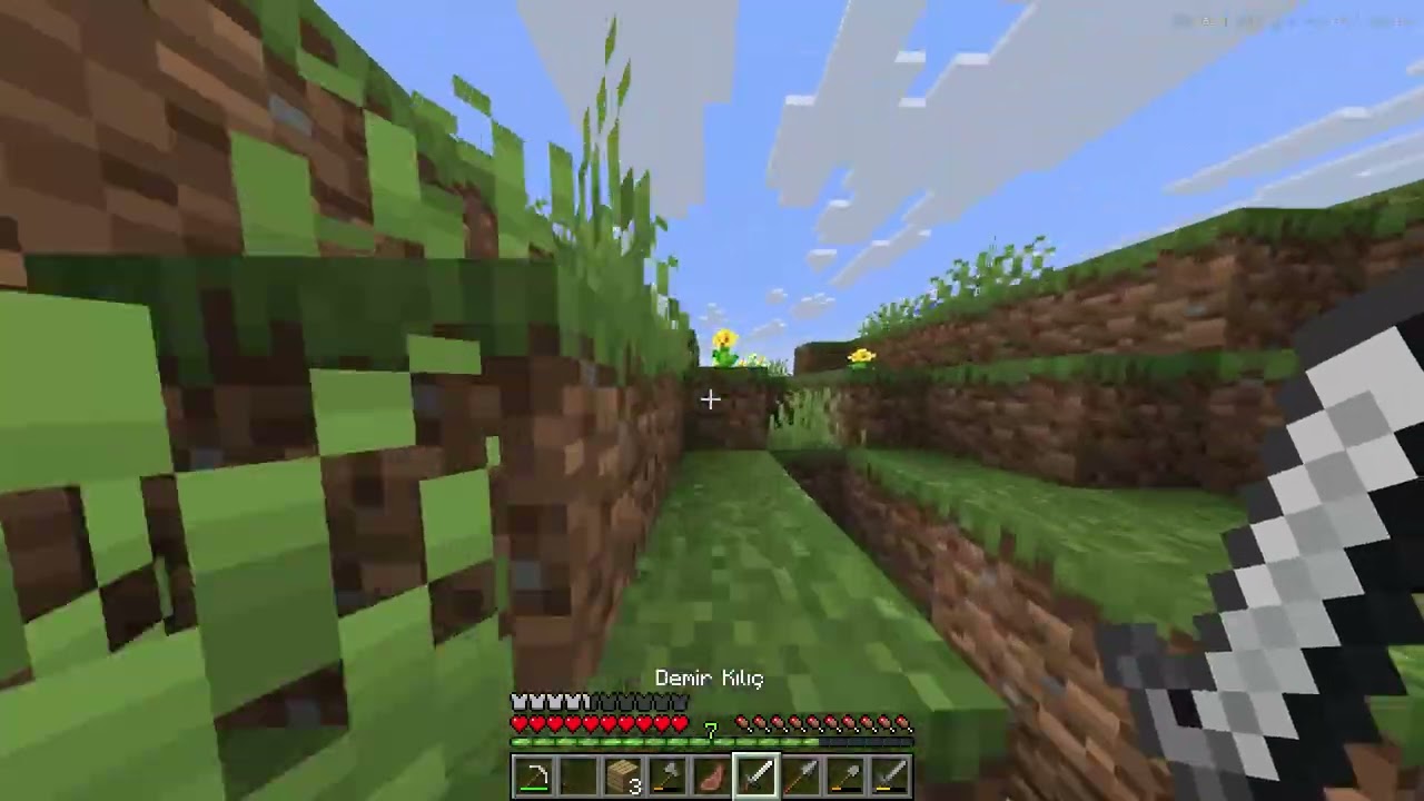 Minecraft  hayatta kalma