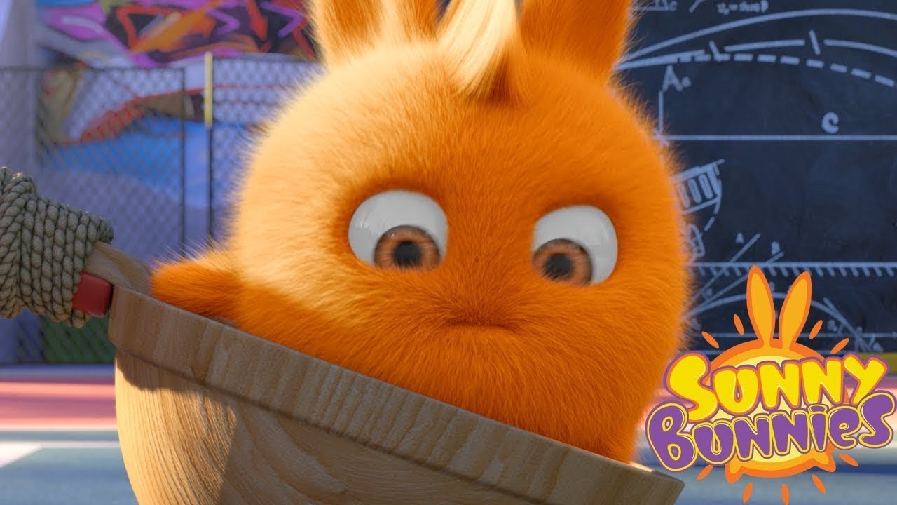 Sunny Bunnies | CATAPULTA | Desenhos animados | WildBrain em Português