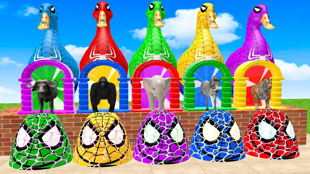 Long Slide Game With Elephant Buffalo Gorilla Zebra Tiger Hippo 3d Animal Cage Game Funny 3d Animals