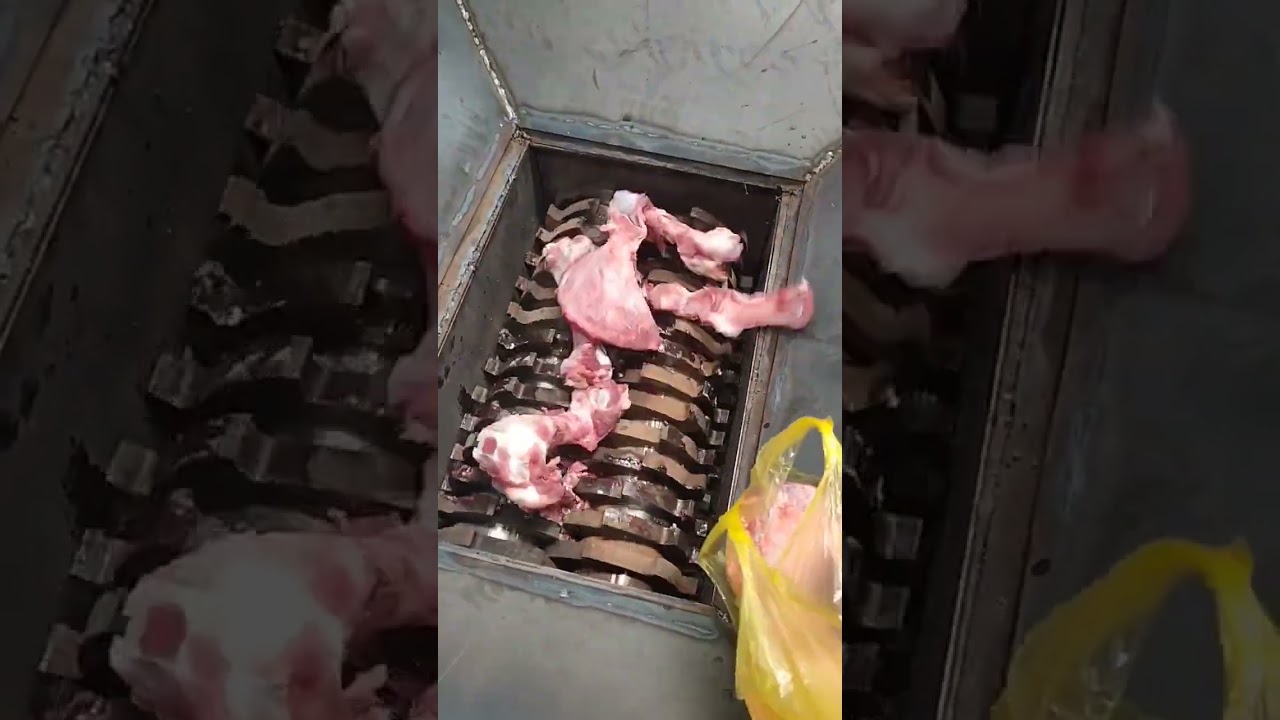 Fresh animal cow bone metat shredder machine #boneshredder #wasterecycling #shredder#bones
