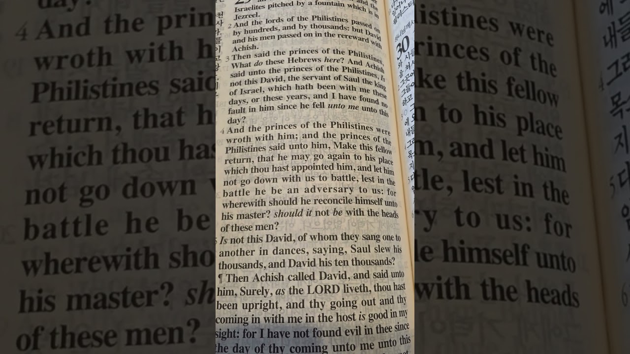 1  Samuel  29