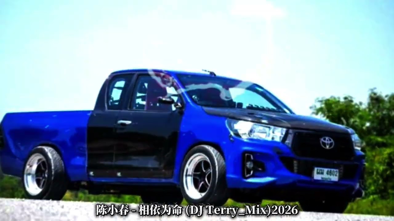 陈小春 - 相依为命 (DJ Terry_Mix)2026