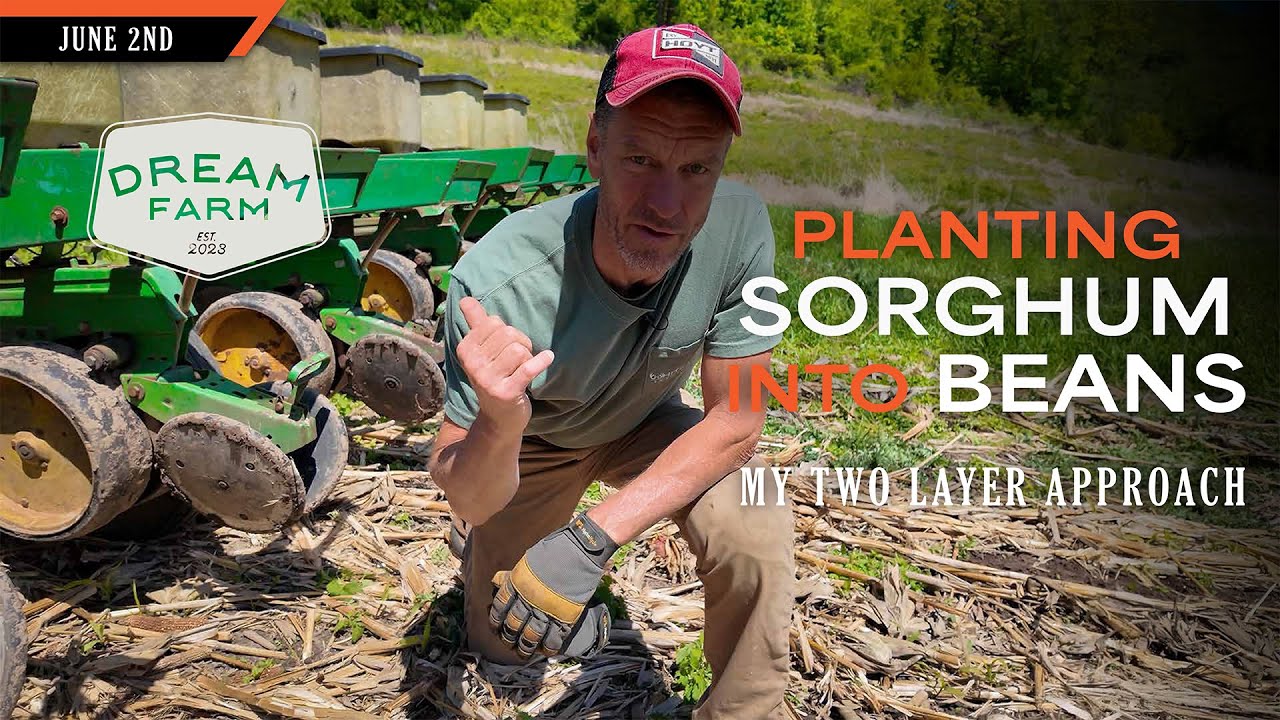 Planting Sorghum into Beans - My Two Layer Experiment | Dream Farm w/ Bill Winke