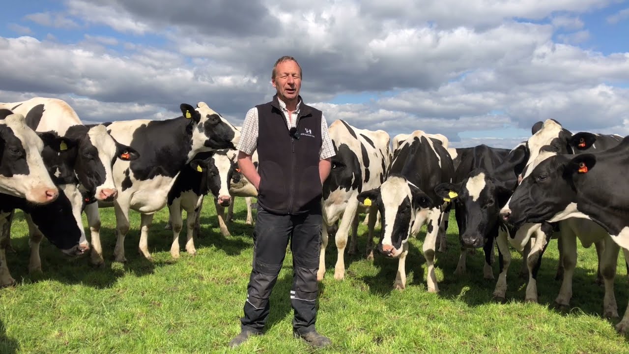 The Use of Cow Manager for Heat Detection and Health Management