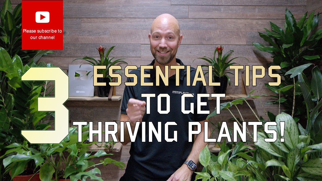 🌱 Три важных совета для процветания растений! 🌱