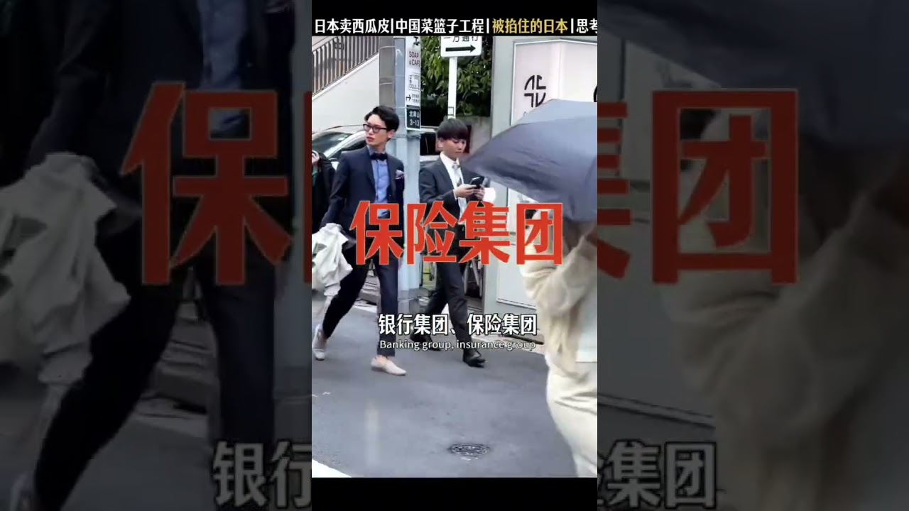 中国花了37年，守住了菜篮子。#菜篮子工程 #菜价 #日本西瓜