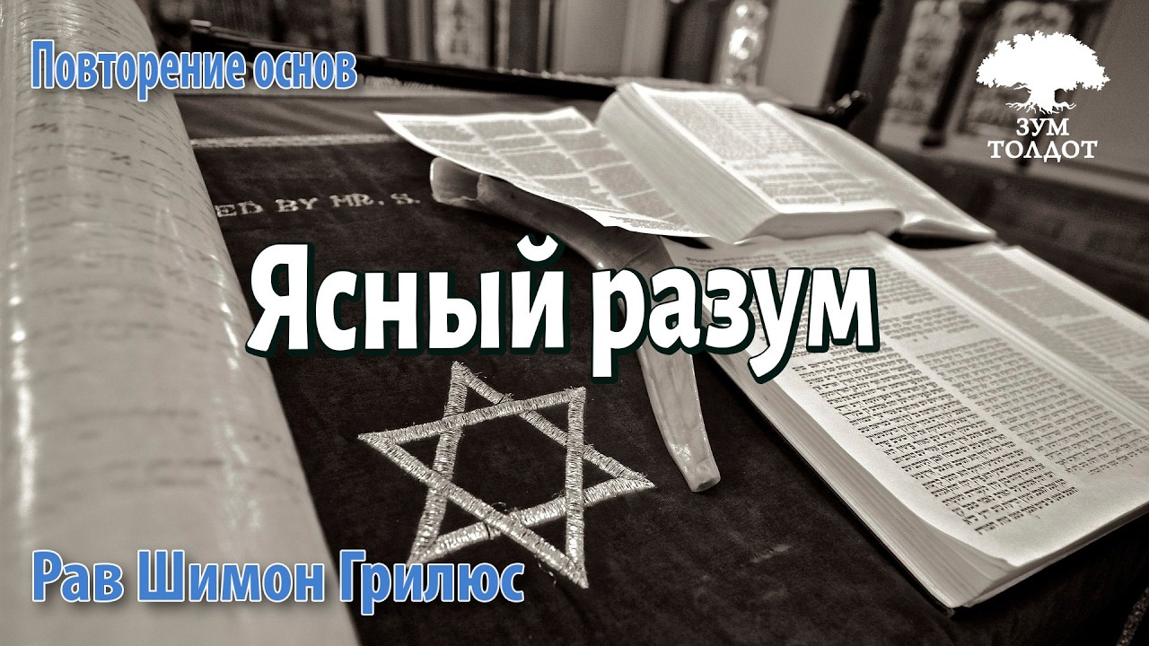 Zoom-уроки Толдот.ру