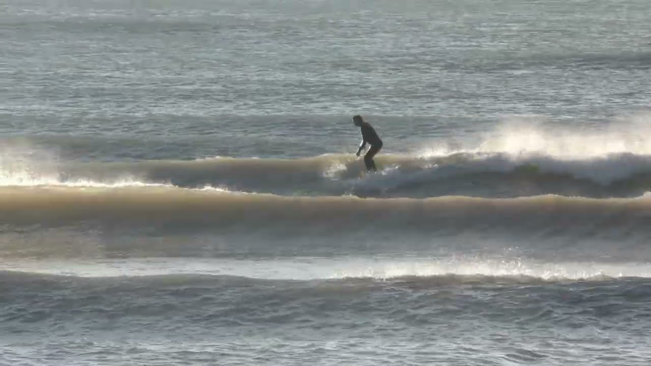 Surfside 2-15-2026 Dump #6