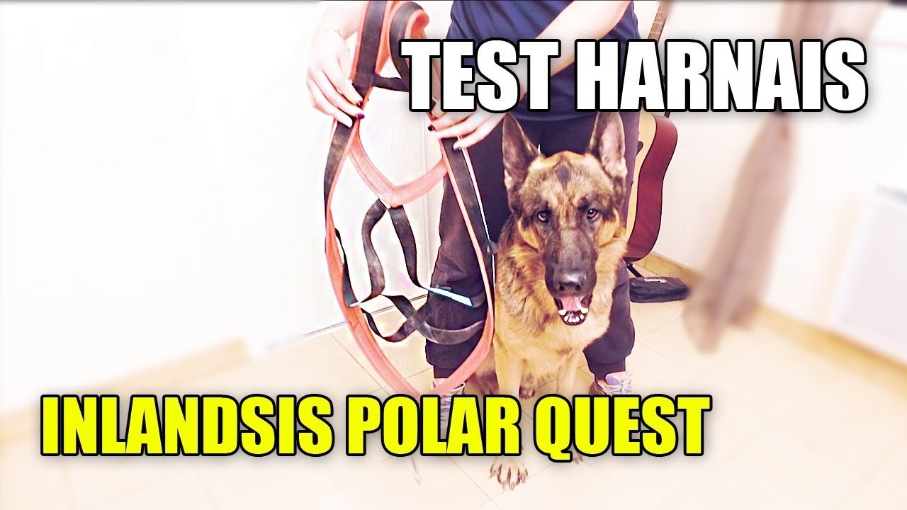 Test matériel | Harnais Inlandsis Polar Quest