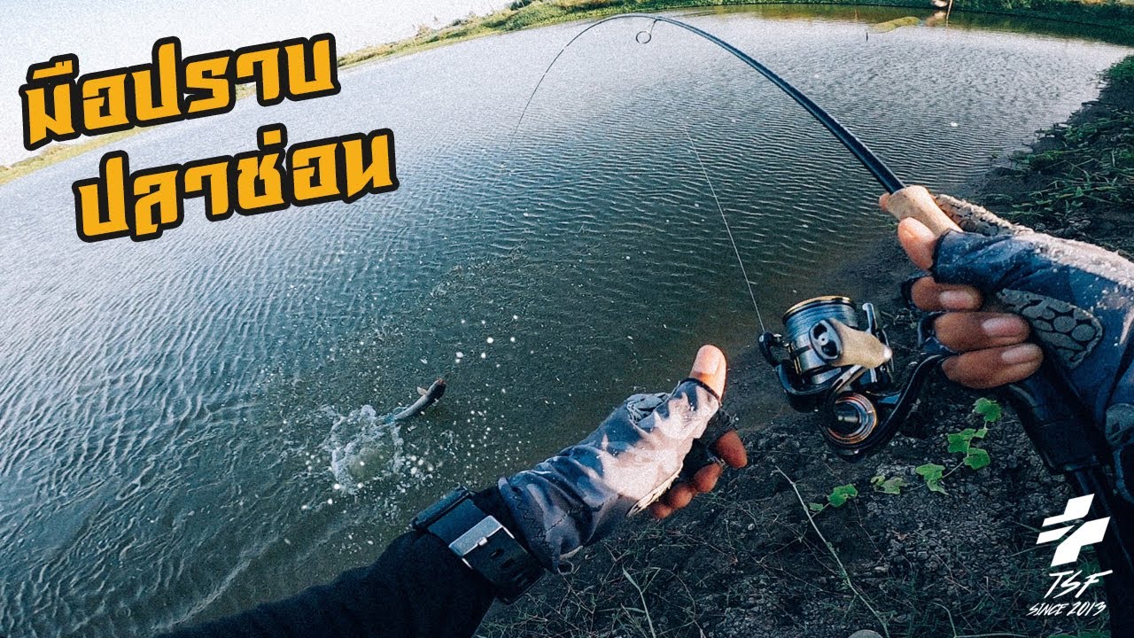 มือปราบปลาช่อน / Hunt the Snakehead!!!!!! [ENG SUB]