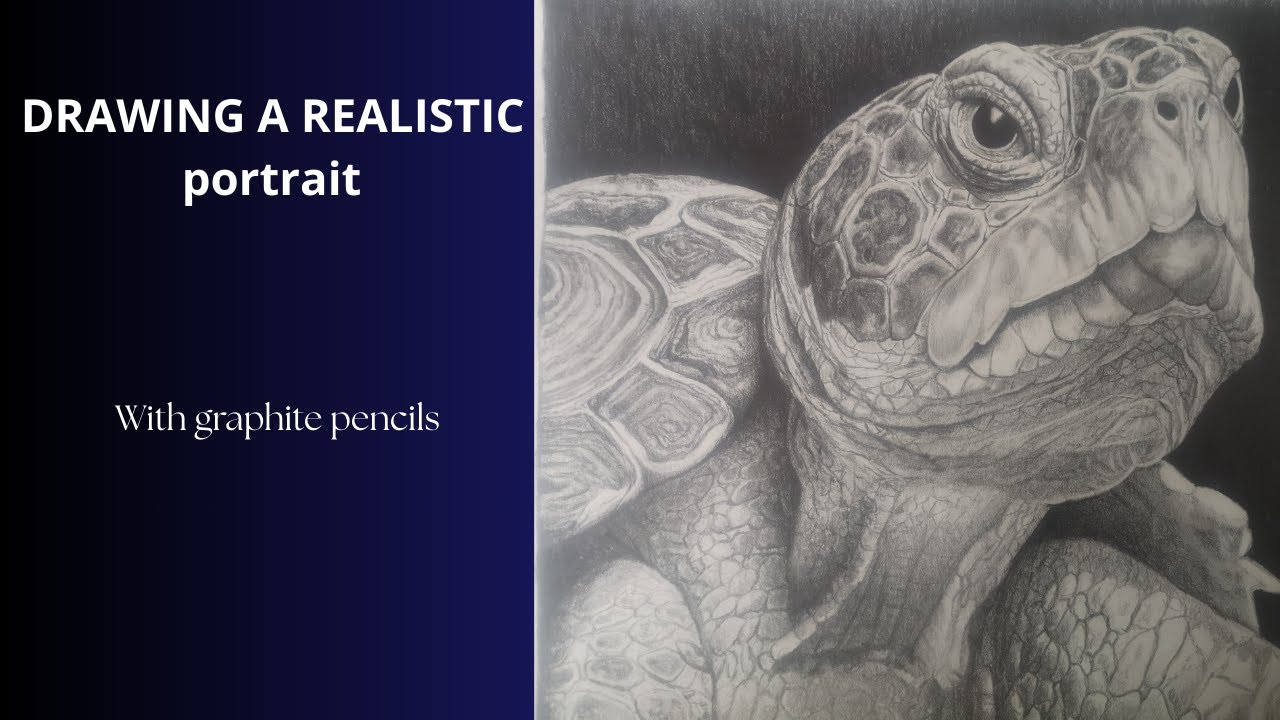 Drawing a realistic turtle - Time lapse