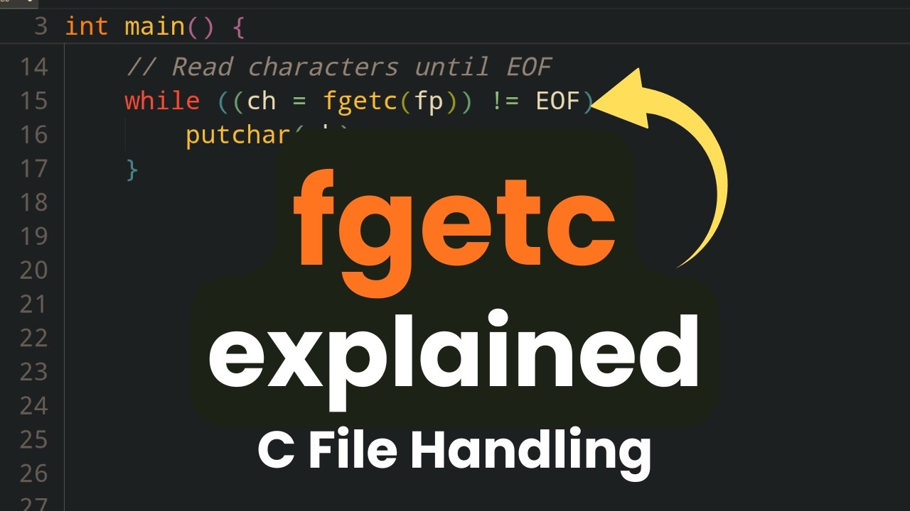 How to Read Character from the File using fgetc function | File Handling in C Language