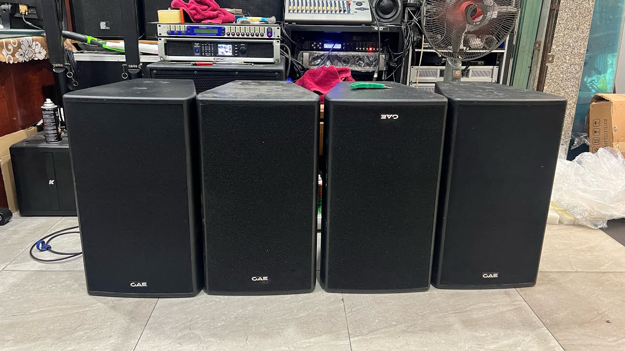 GAE system 12. Cặp loa 3 tấc siêu khủng bass neo coil 100 - treb neo coil 65. 