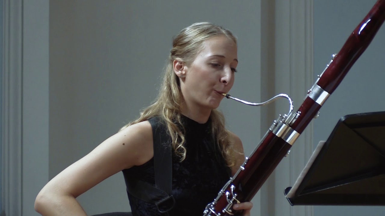 A. Vivaldi - Sonata in E minor RV40 for basson & b.c.