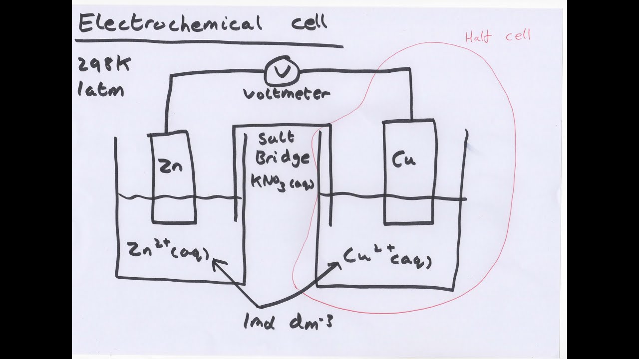Cells Chemistry