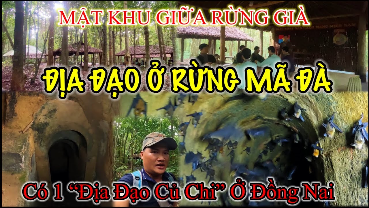 Địa đạo bí mật của Khu Ủy Miền Đông Nam Bộ bên dưới rừng Mã Đà ở Đồng Nai.