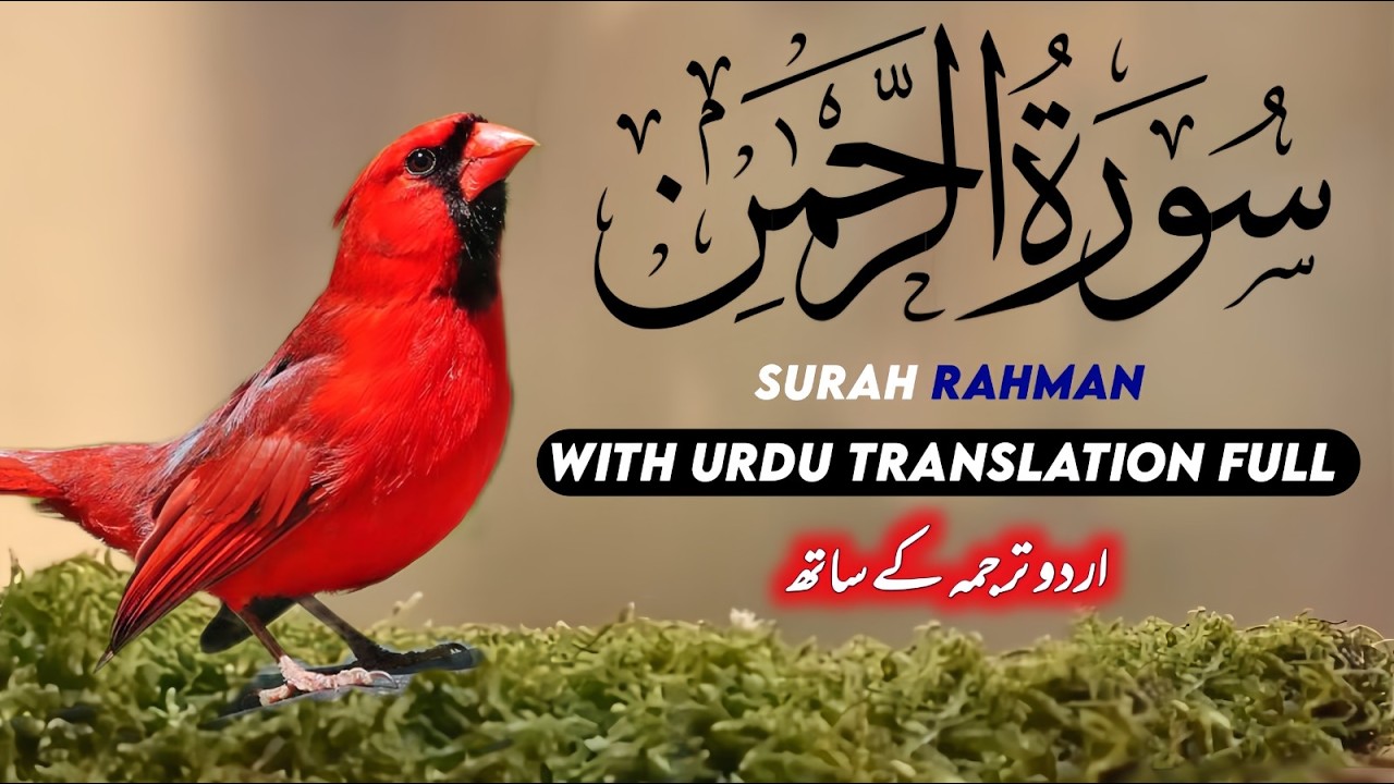 Surah Rehman Full Urdu Tarjuma Ke Sath By Qari Abdul Basit | QURAN