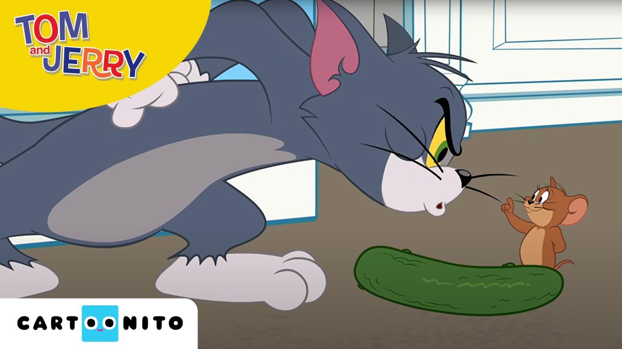 Tom i Jerry Show | Ogórkofobia | Cartoonito