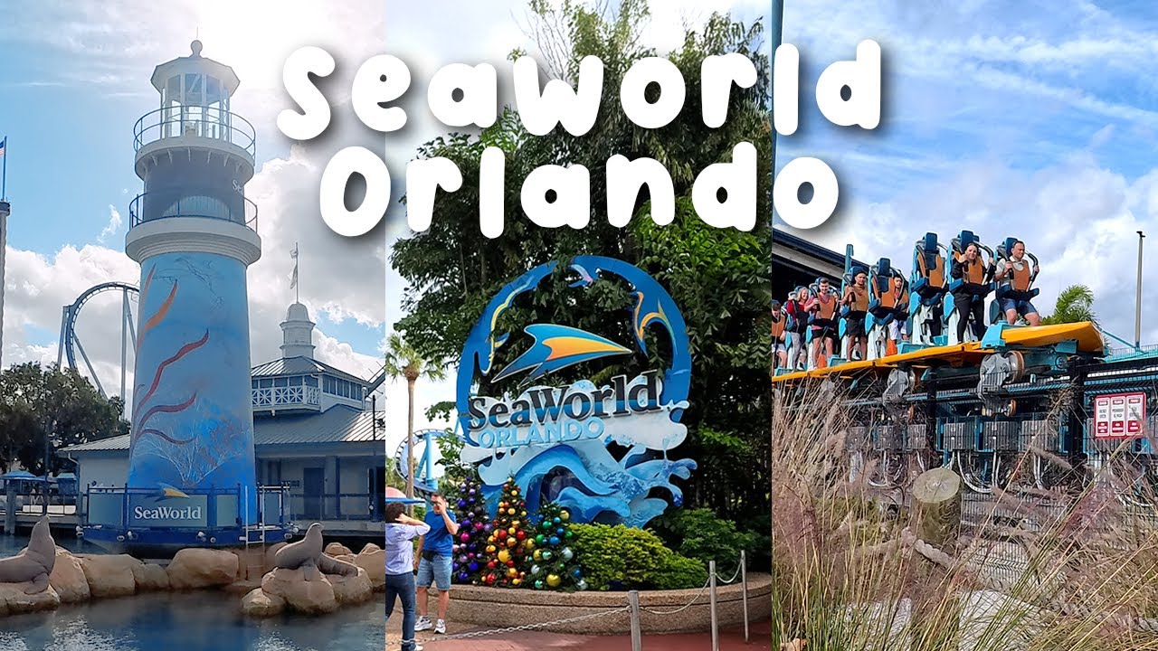 A Day at SeaWorld Orlando 🌊 | Rides, Shows & Food