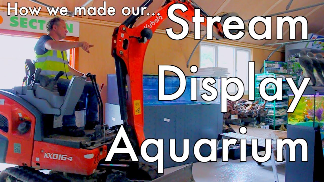 How We Made Our Stream Display Aquarium