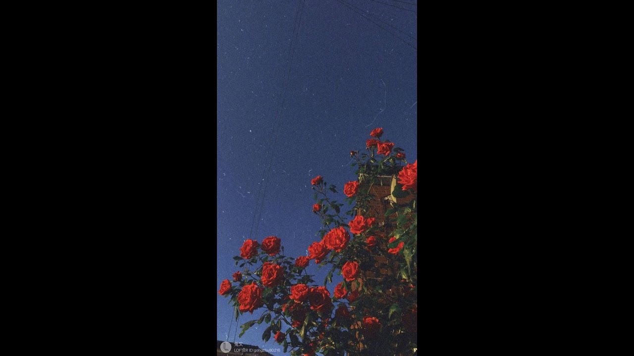 (FREE) Zamdane, Khali  & mademoiselle lou Type Beat ~C'est une promesse~