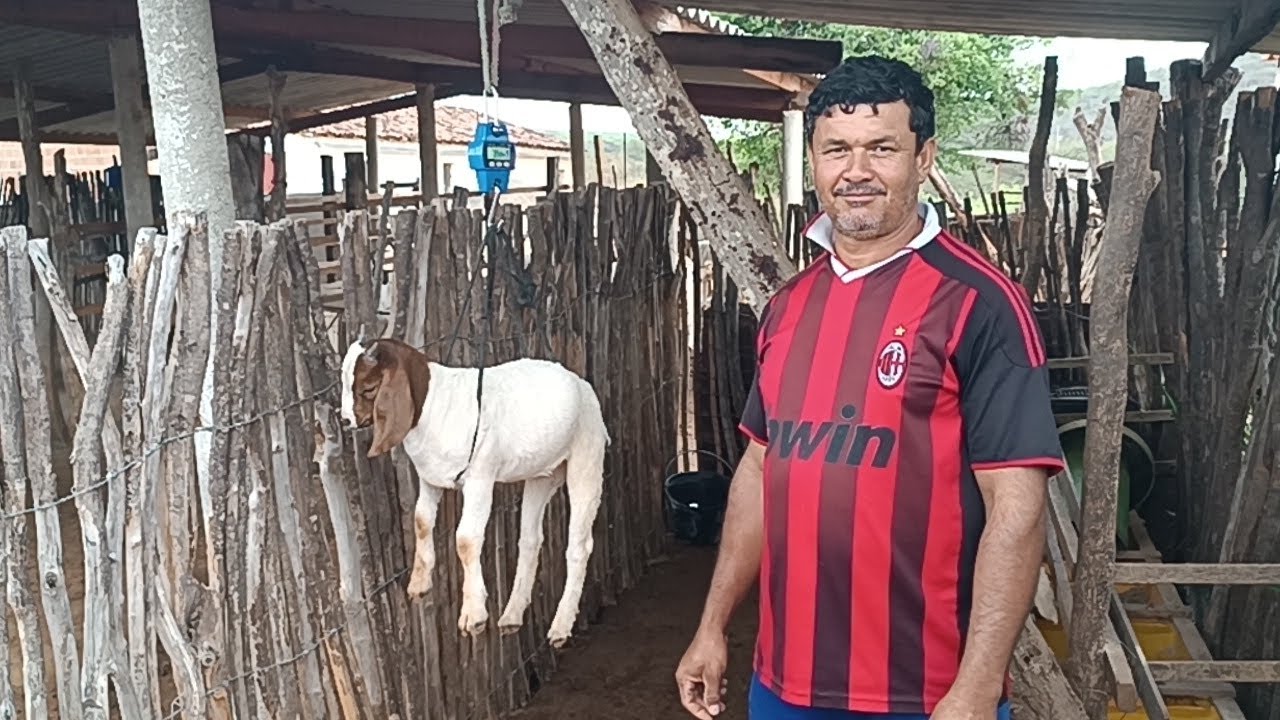 Severino é mais um cliente satisfeito com a genética capril serrote do pico.