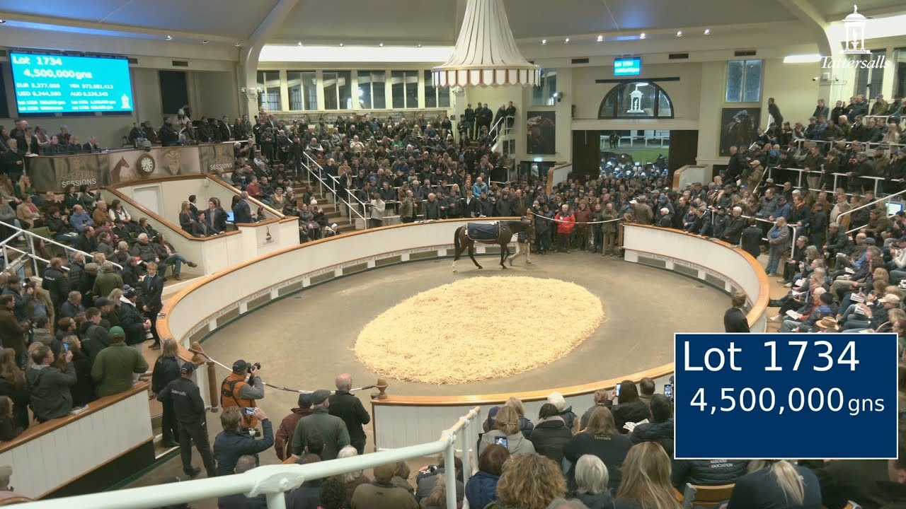 Porta Fortuna sells for 4.5m gns at the Tattersalls December Mares Sale