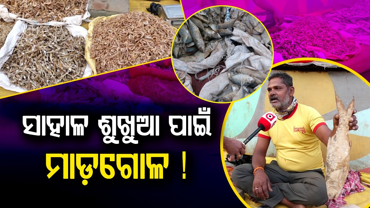 ବାଲିଯାତ୍ରାରେ ଶୁଖୁଆ କ୍ରେଜ୍! | Baliyatra 2025