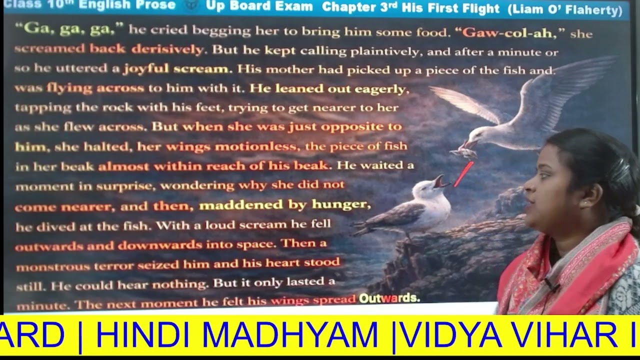 TWO STORIES ABOUT FLYING - HIS FIRST FLIGHT | English L-12 | Class-10 | Hindi Medium | NCERT