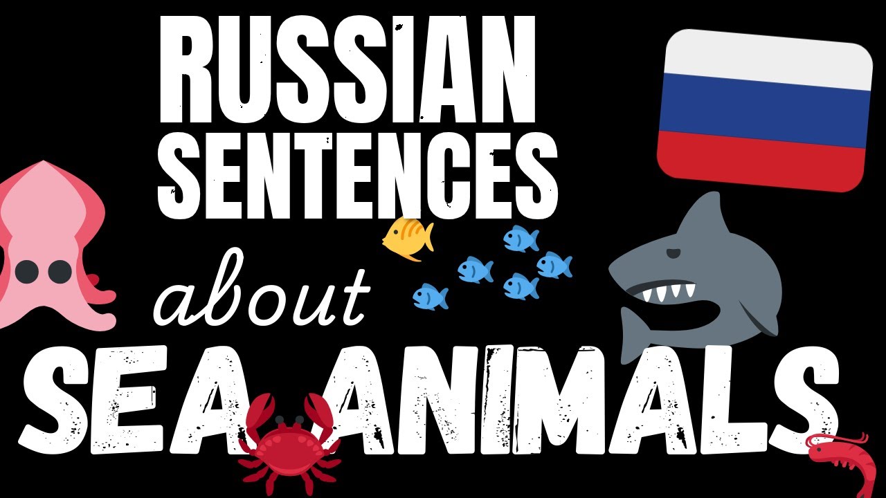 200 B1 Russian sentences - Marine Animals | Learn Intermediate Russian vocabulary